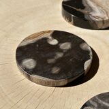 Set of 4 fossilized wooden coasters