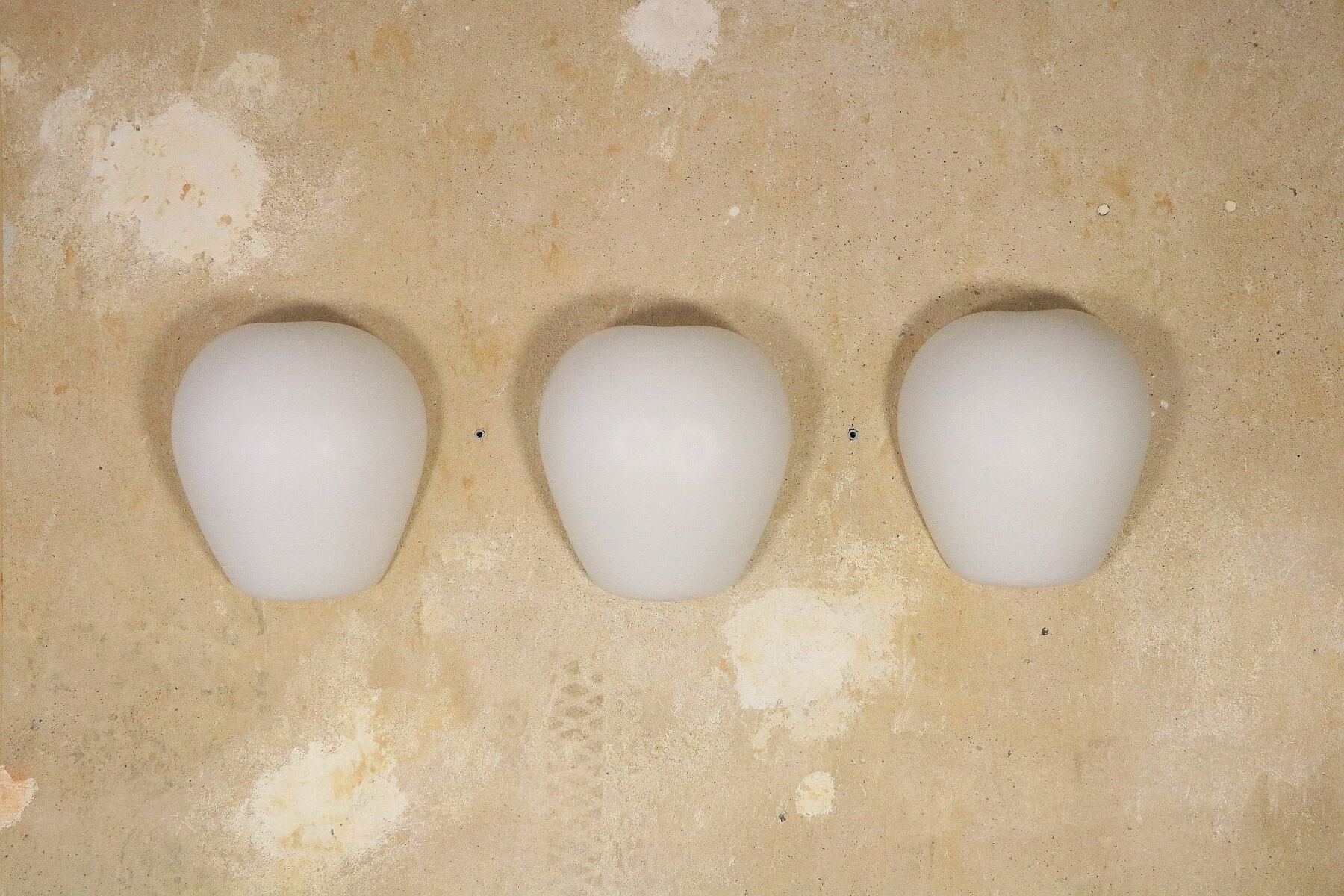 3 Wilhem Wagenfeld wall lamps, Peill & Putzler, "Muschel", 1950s