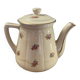 Old teapot or coffee maker in English style.