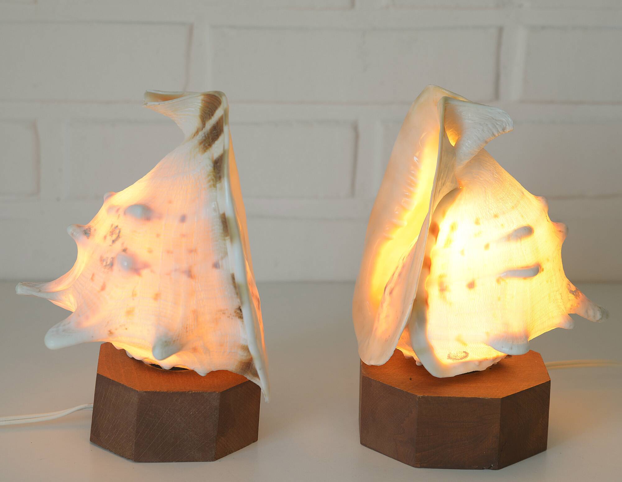 Vintage bedside shell lamps lake house decor wooden table lights set of 2