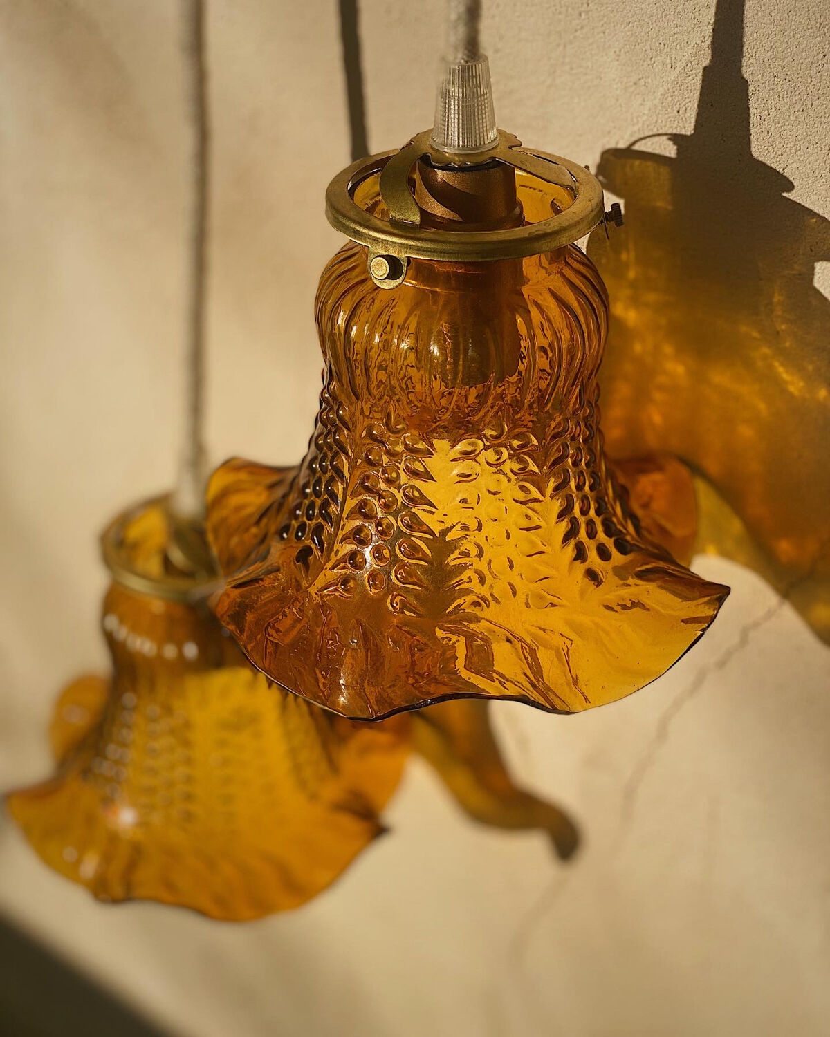 Two amber tulip globe suspension
