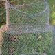 Old fish trap