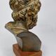 Bust of Homer in patinated plaster on wooden base, 21 cm