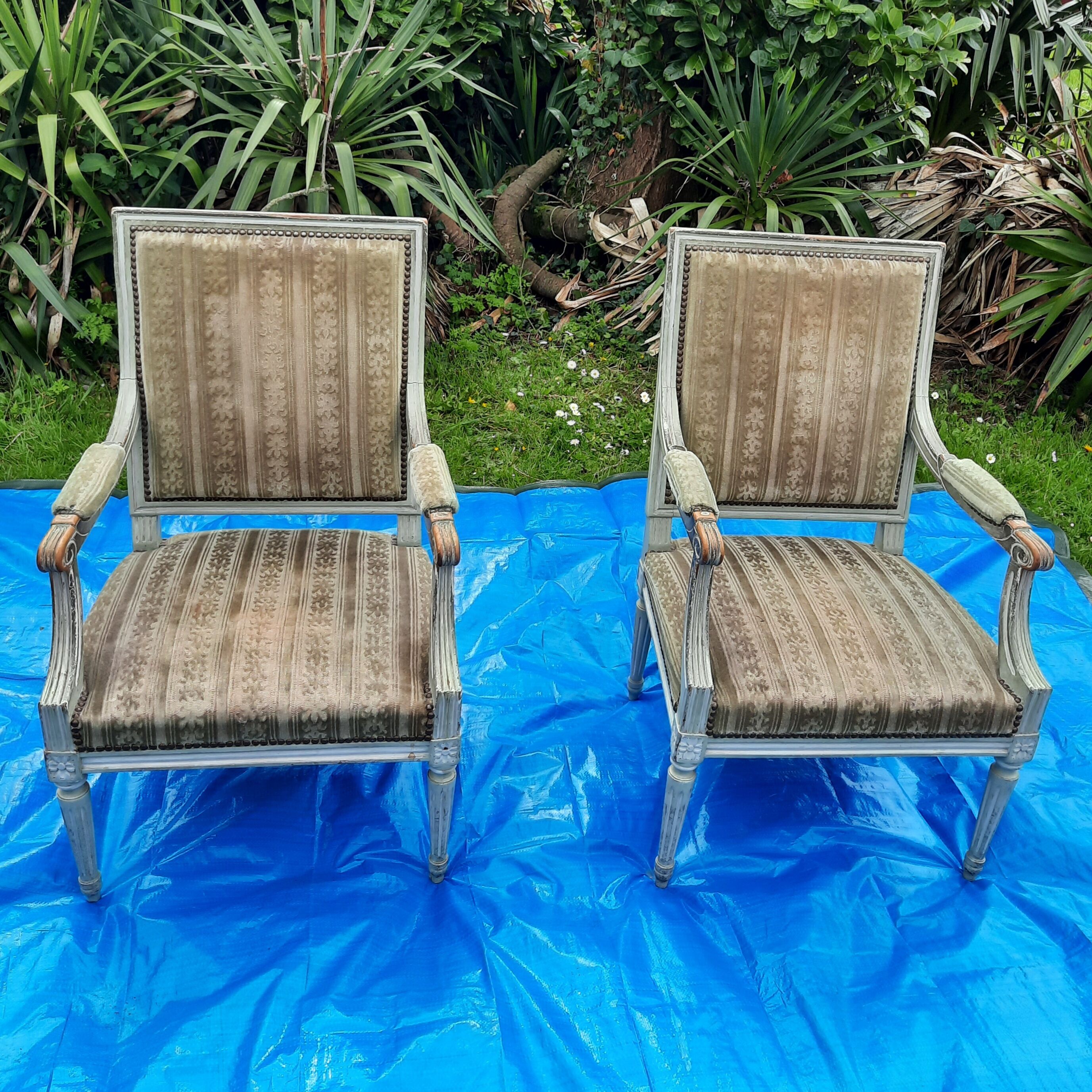 Pair of Faiteuil Louis XVI style