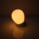 1960's Wall Lamp, Czechoslovakia
