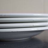 5 Vintage Italian ceramic plates Primula flowers