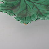 Empty fig leaf pockets