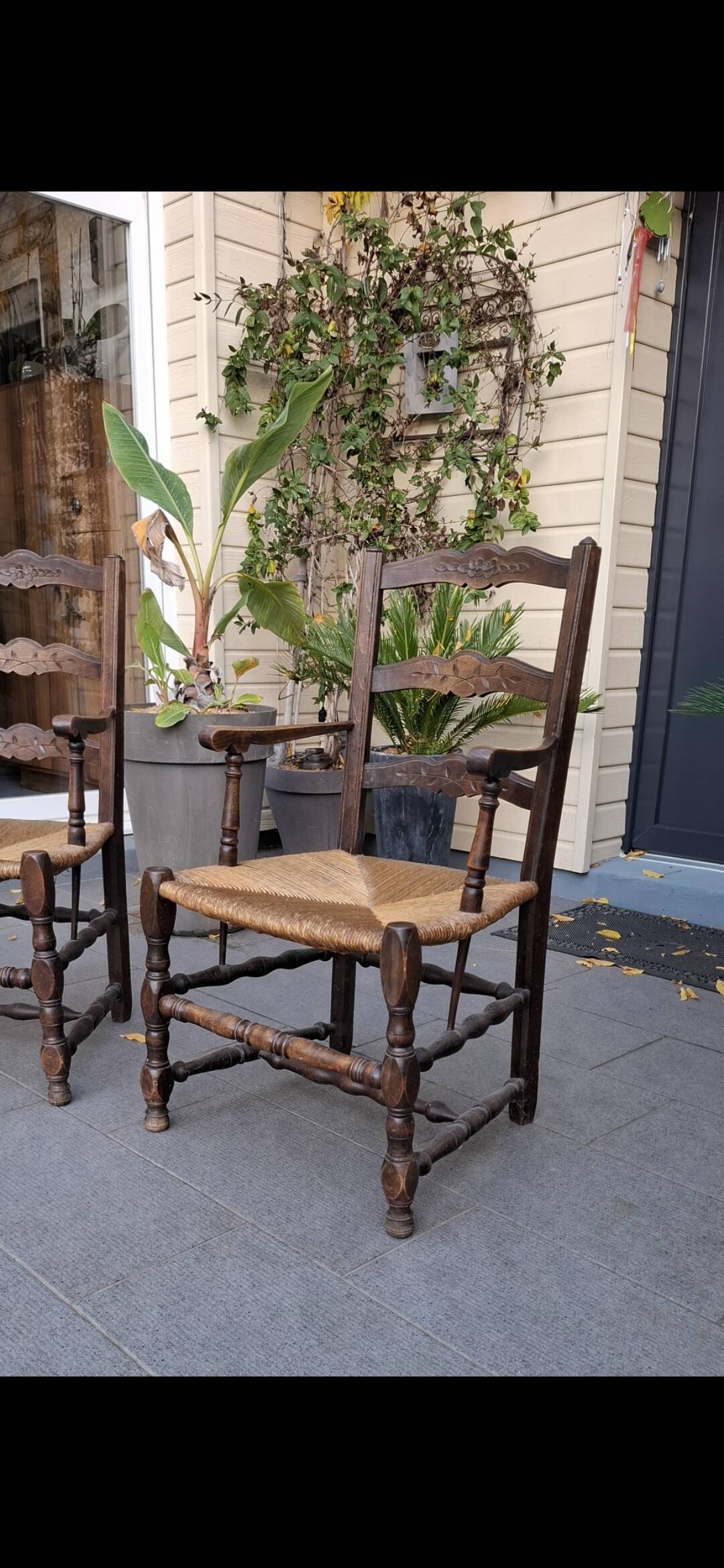 Paire de fauteuil campagnard