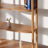 Vintage Bookcase / Room Divider - Windsor / Giraffe Model - Ercol