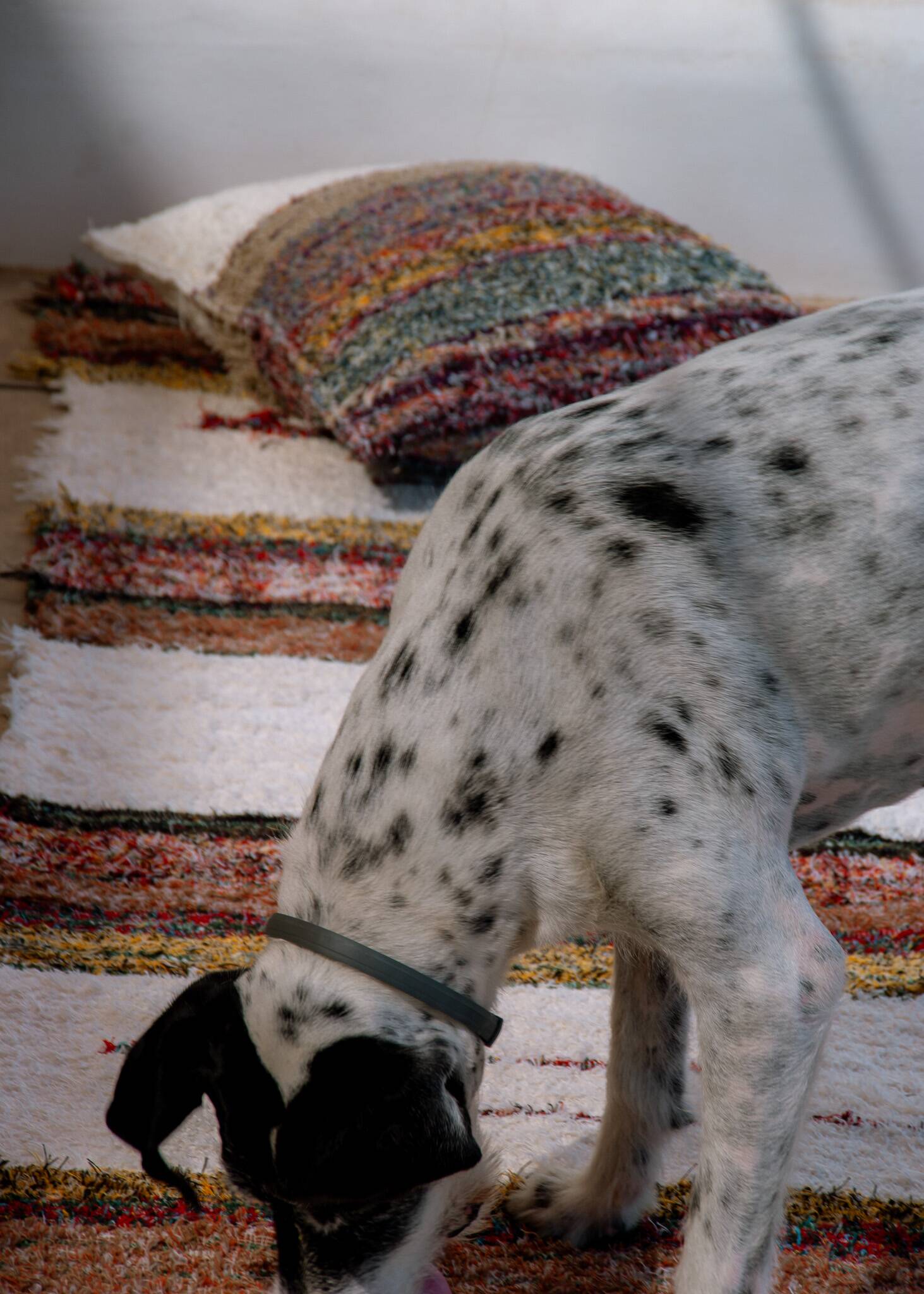 Handmade recycled cotton rug - Multicolor