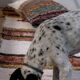 Handmade recycled cotton rug - Multicolor