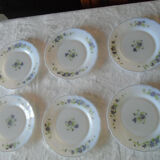 6 dessert plates