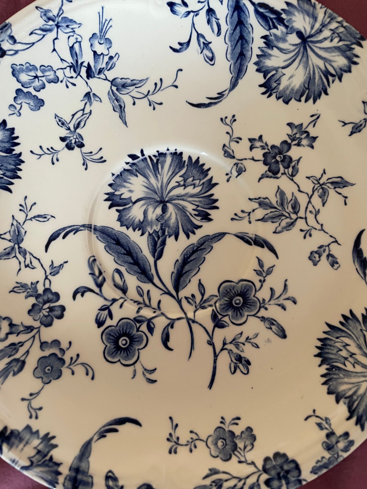 Set of 6 plates dessert earthenware Gien "wild flower" English