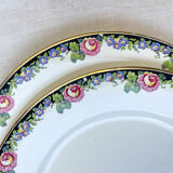 7 opaque porcelain dinner plates Digoin floral pattern 3984