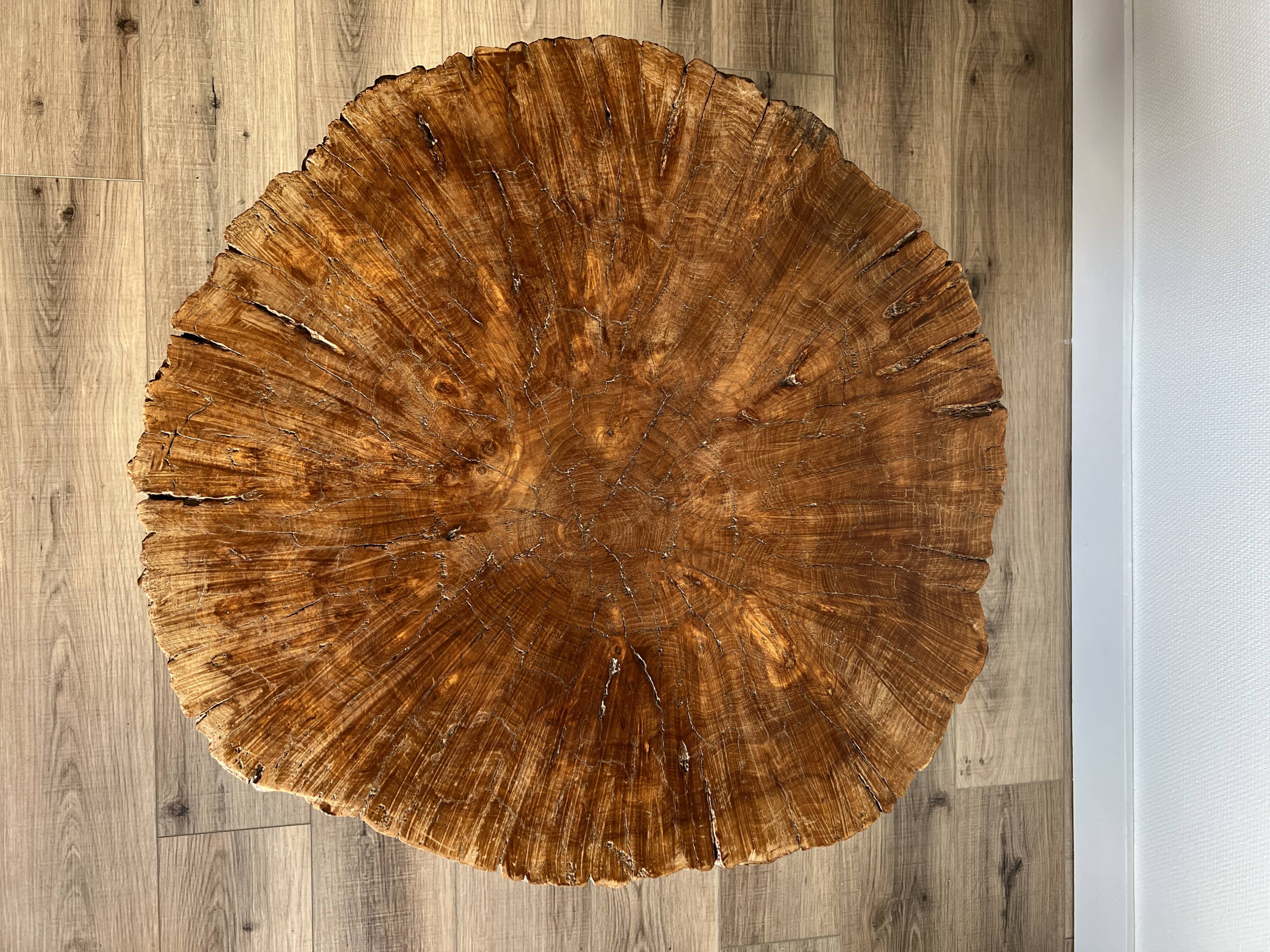 Brutalist tripod coffee table in elm burl, 1950.