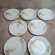 Set of 7 vintage flat plates in porcelain – Polychrome floral decoration