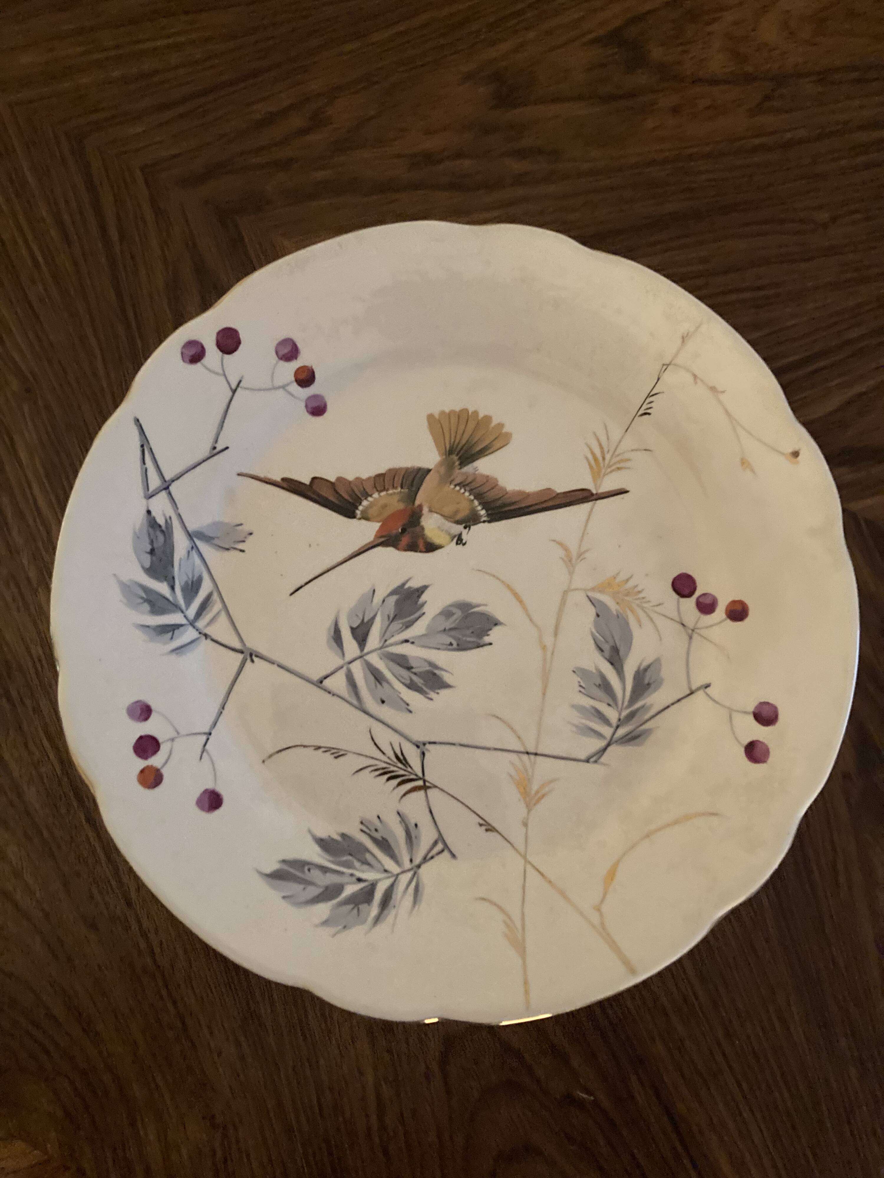 13 decorative plates with hummingbird design in fine earthenware by Mouzin Lecat, 19th century.