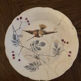 13 decorative plates with hummingbird design in fine earthenware by Mouzin Lecat, 19th century.