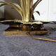 Reed lamp 1970