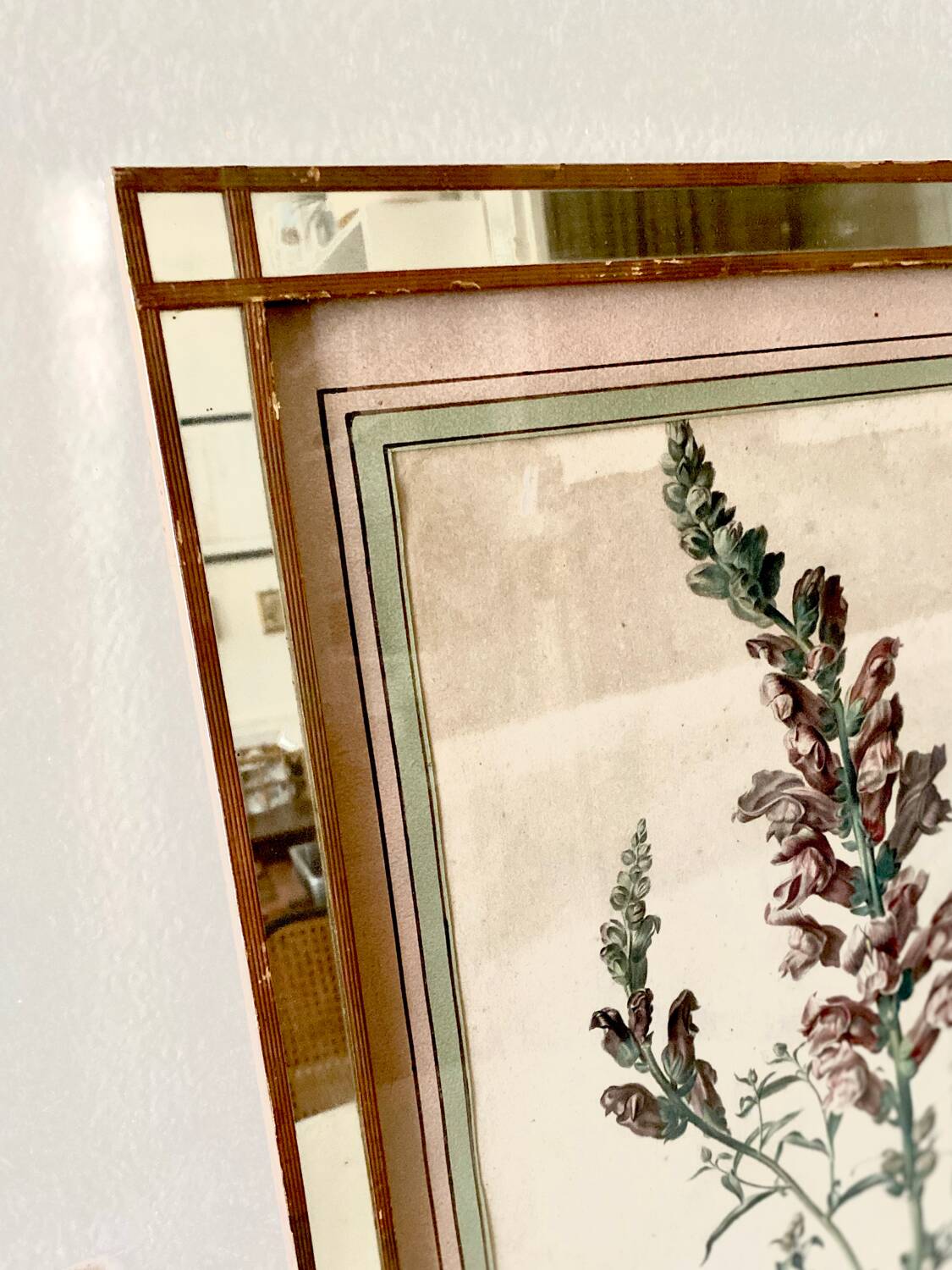 Botanical lithograph frame