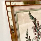 Botanical lithograph frame