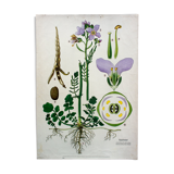 Displays educational 1972 Marsh moth