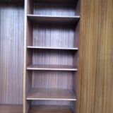 Vintage scandinavian modernist wardrobe 1950