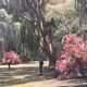 J.Ryck oil painting on cardboard