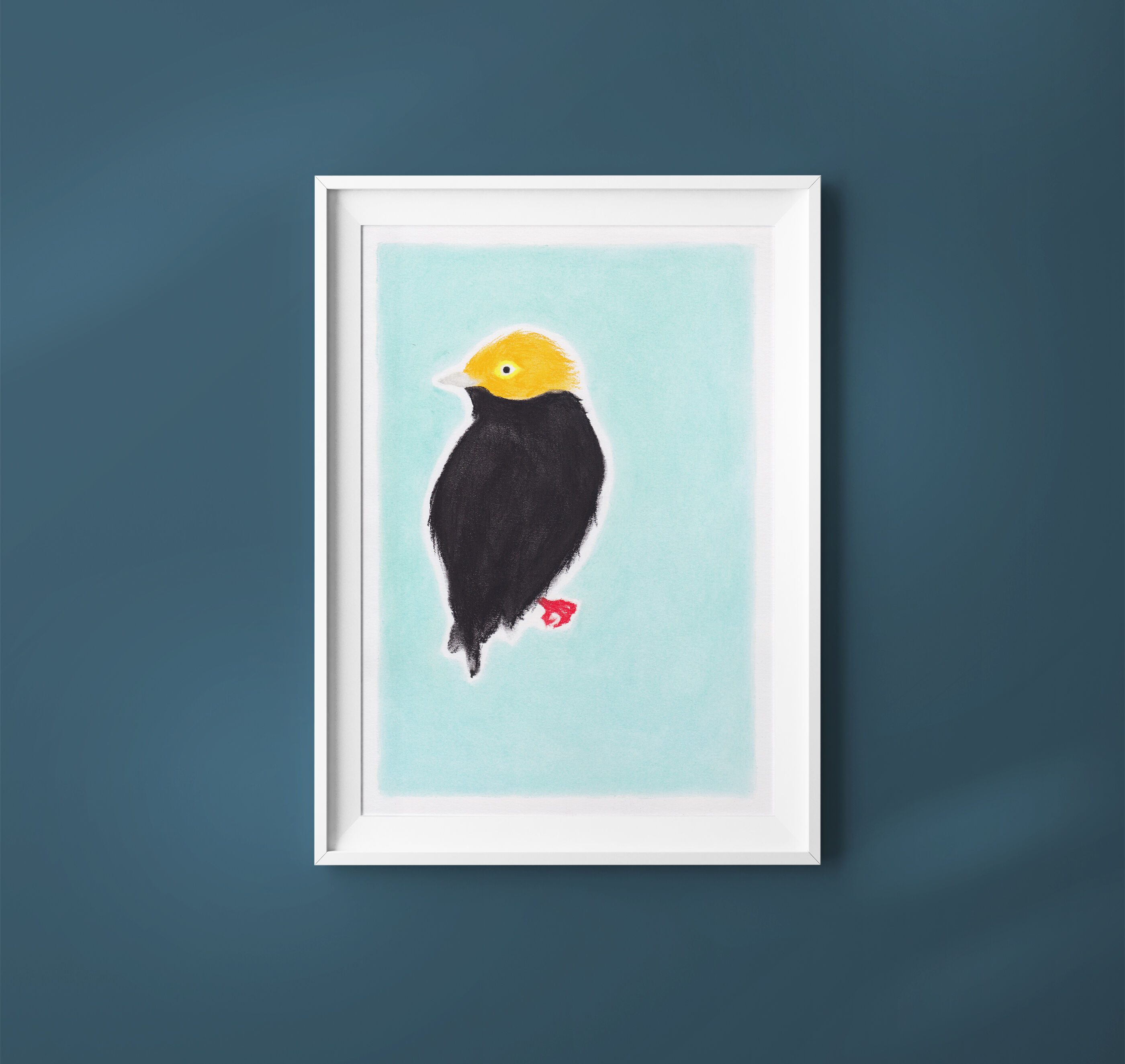 Oiseau "golden cap" dessin original