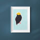 Oiseau "golden cap" dessin original