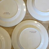 6 assiettes à dessert en demi porcelaine