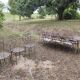 Old wrought iron table and its armchairs and chairs for outdoor use.