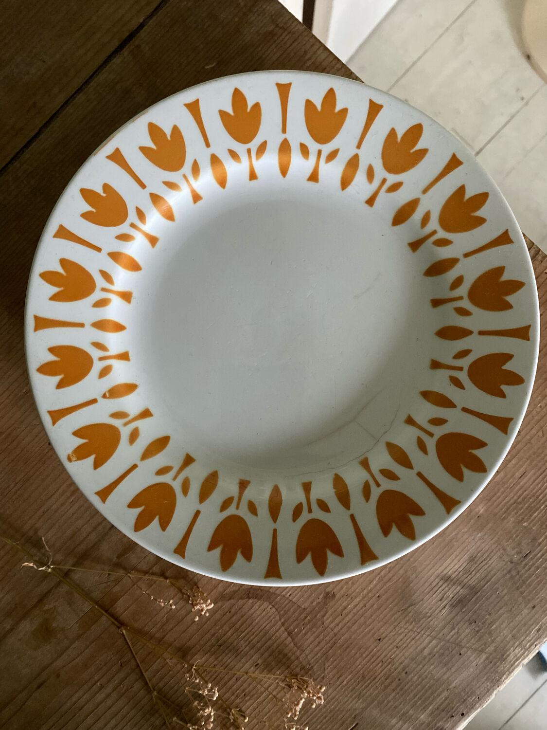 6 assiettes vintage tulipes sarreguemines