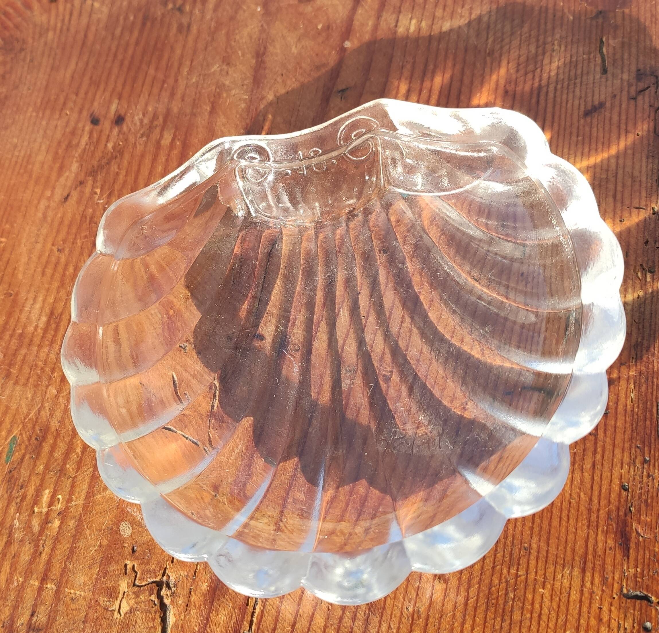 Old shell butter dish