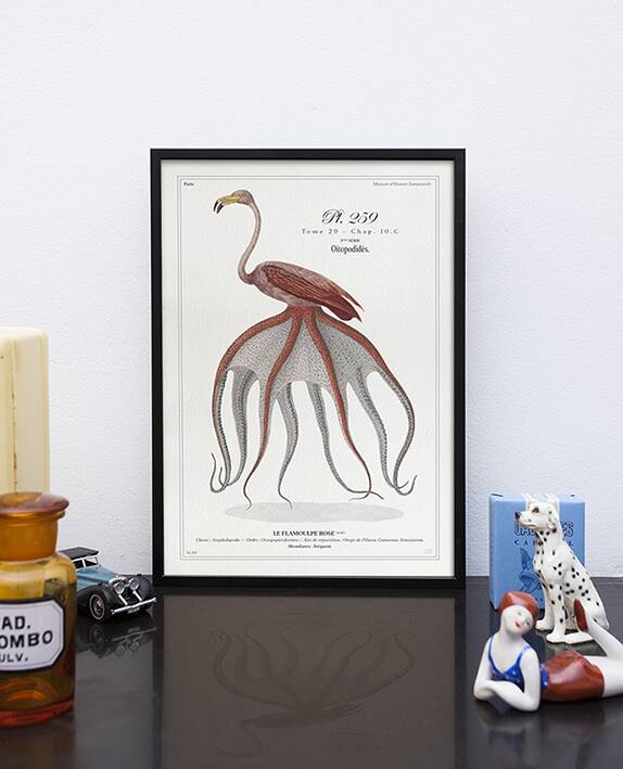 Chimera lithograph animal engraving - the pink flamoulpe