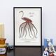 Chimera lithograph animal engraving - the pink flamoulpe