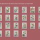 Vintage Botanical Print from 1968 - Golden Rapture - Rose Floral Illustration
