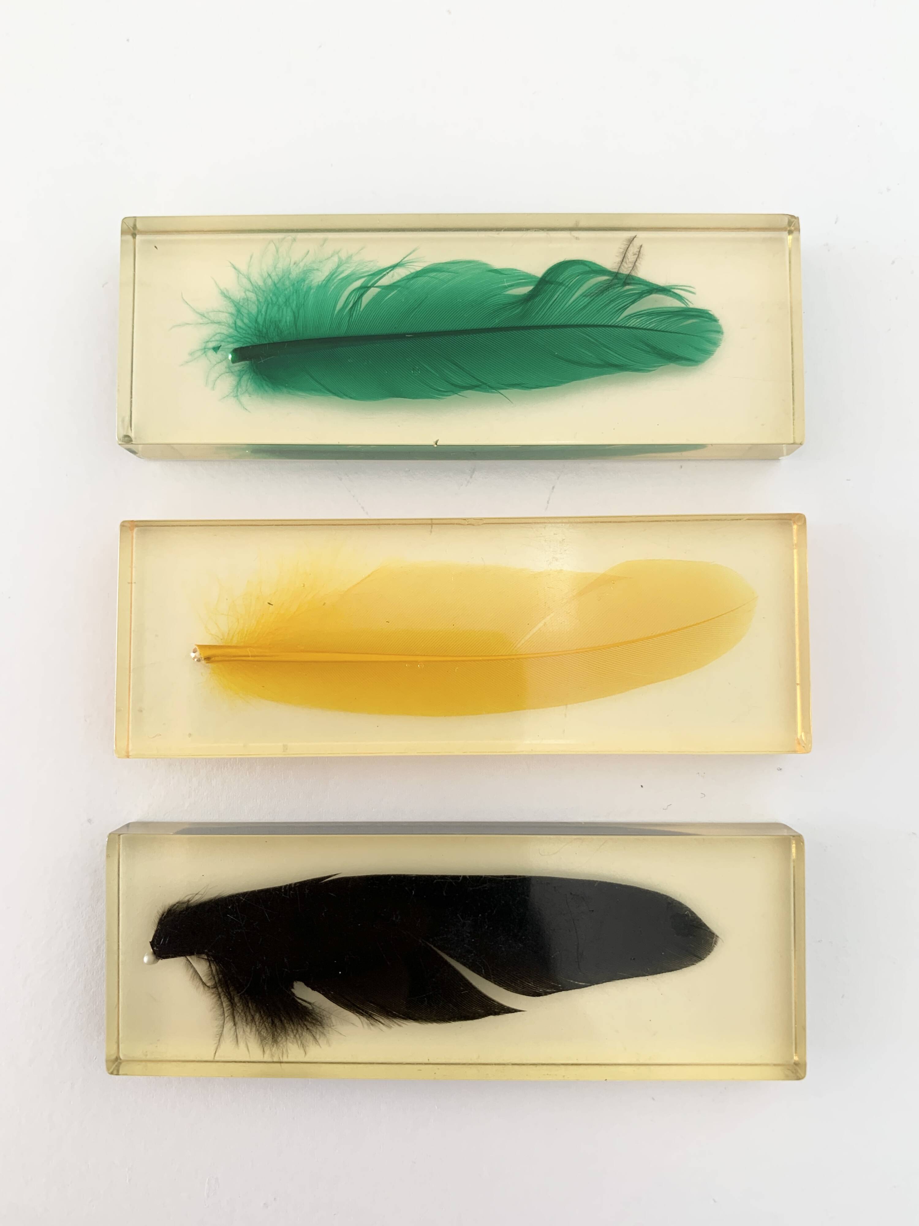 Six feather-shaped knife rests in resin inclusion.