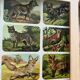 Affiche animalière ancienne