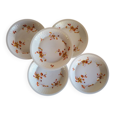 5 Assiettes à Creuses en Porcelaine Haviland France Limoges