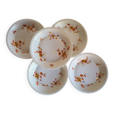 5 Assiettes à Creuses en Porcelaine Haviland France Limoges
