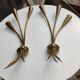 Paire Applique Lunel