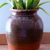 Old glazed terracotta pot