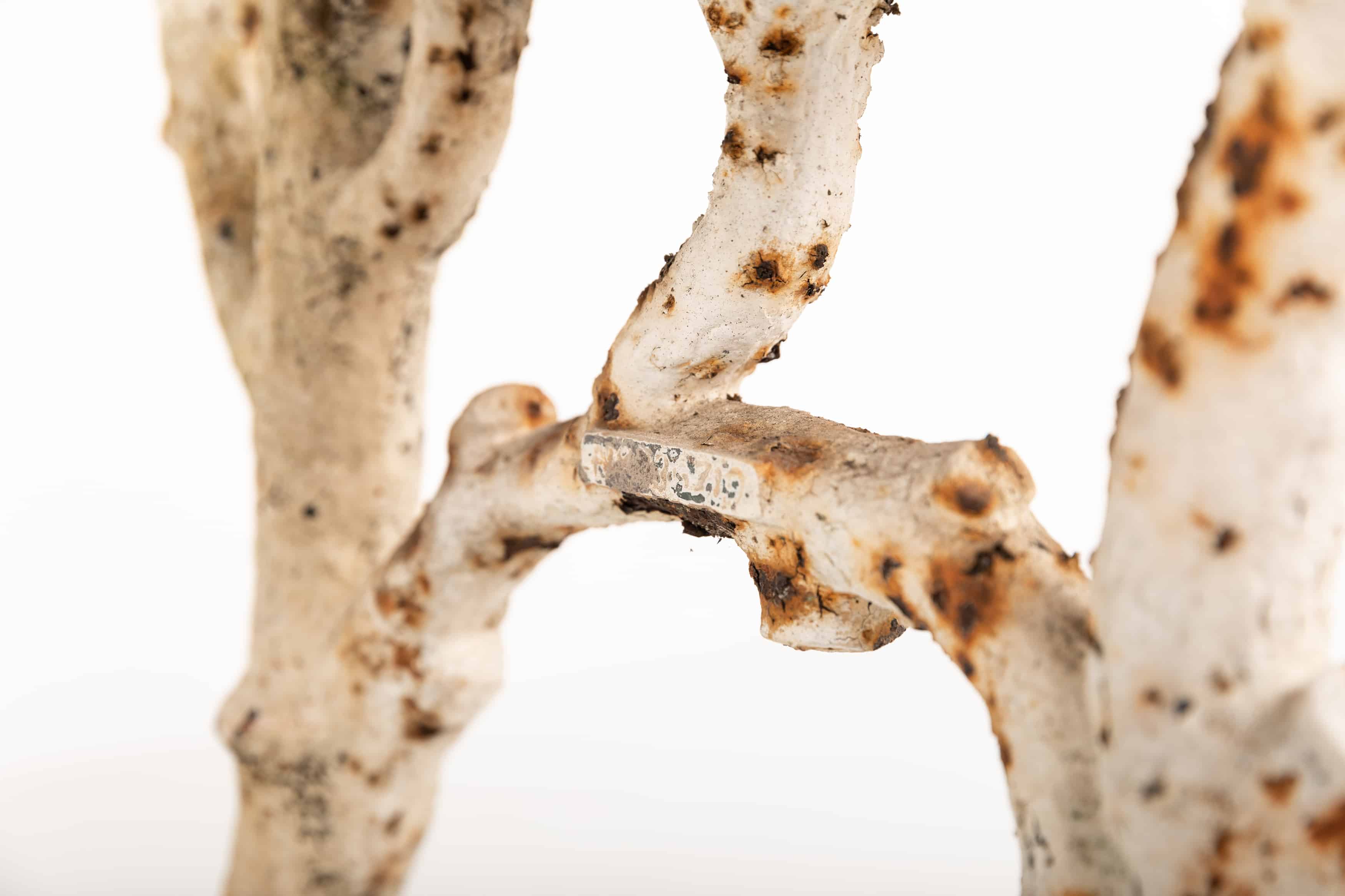 Victorian 'faux bois' garden bench