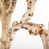 Victorian 'faux bois' garden bench