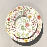 12 antique plates and 1 Royal stafford platter