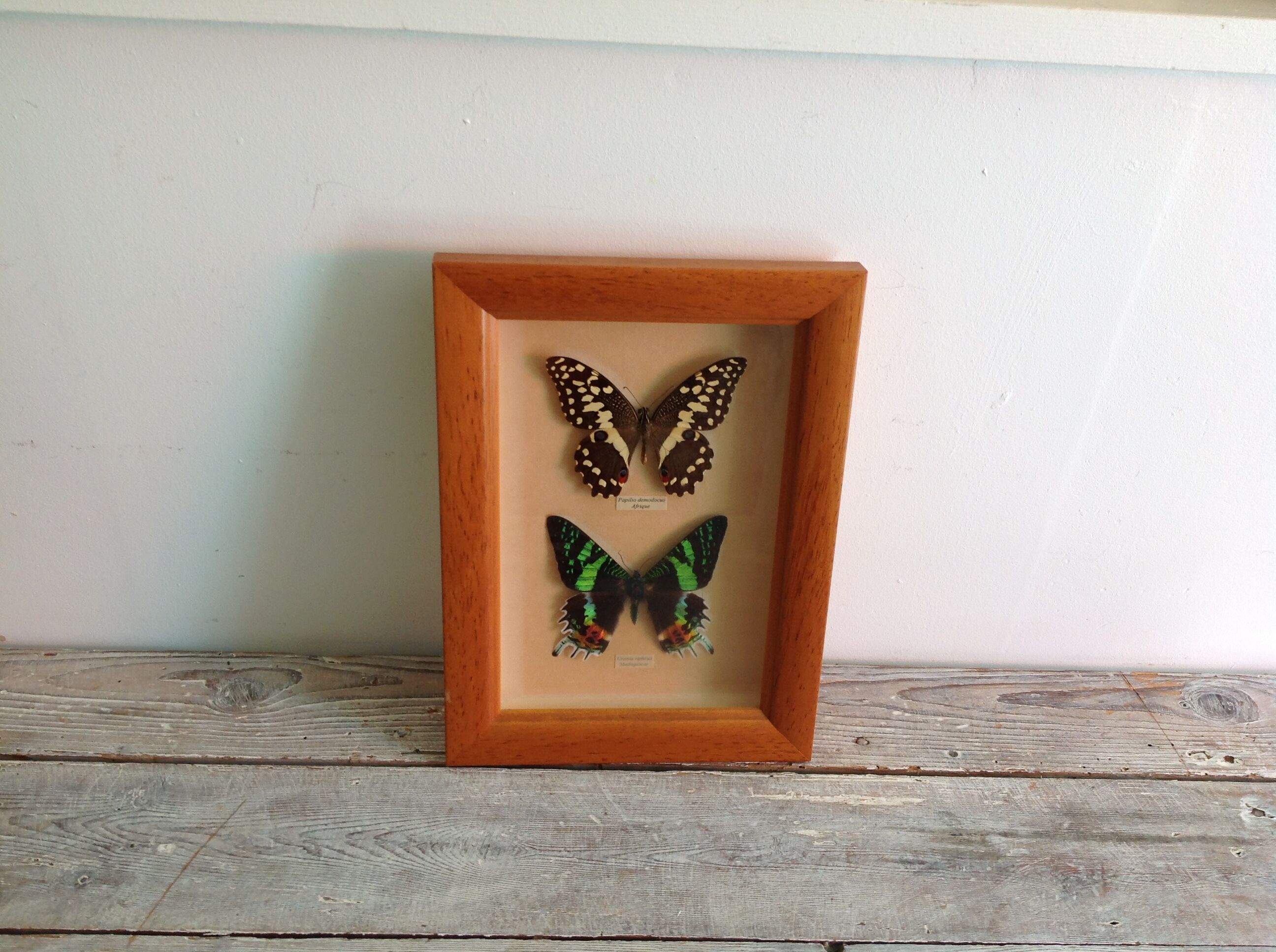 Butterfly frame
