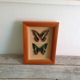 Butterfly frame