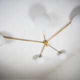 Lustre Starfish Stella Collection