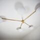 Lamp Starfish Stella Collection